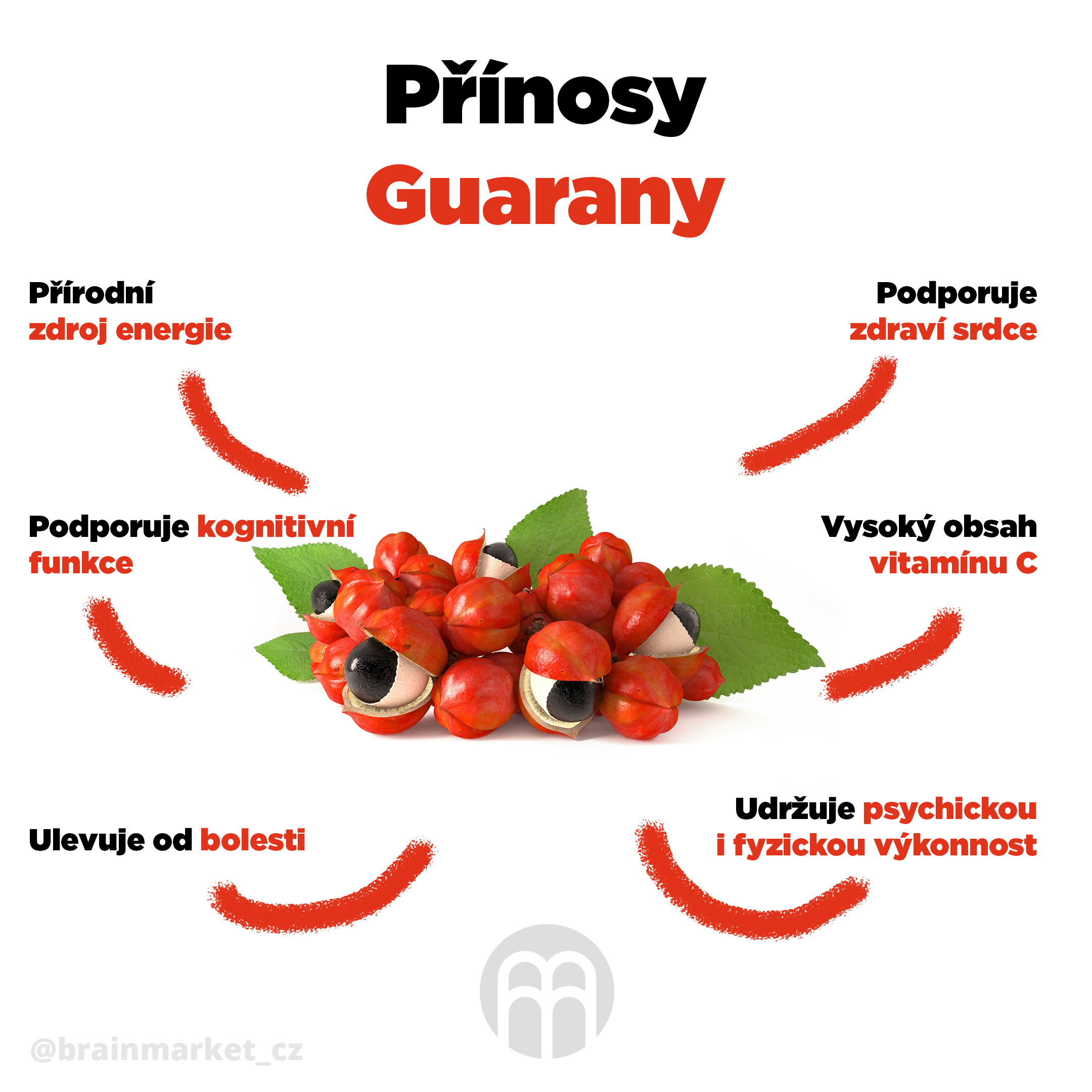 Co obsahuje guarana?