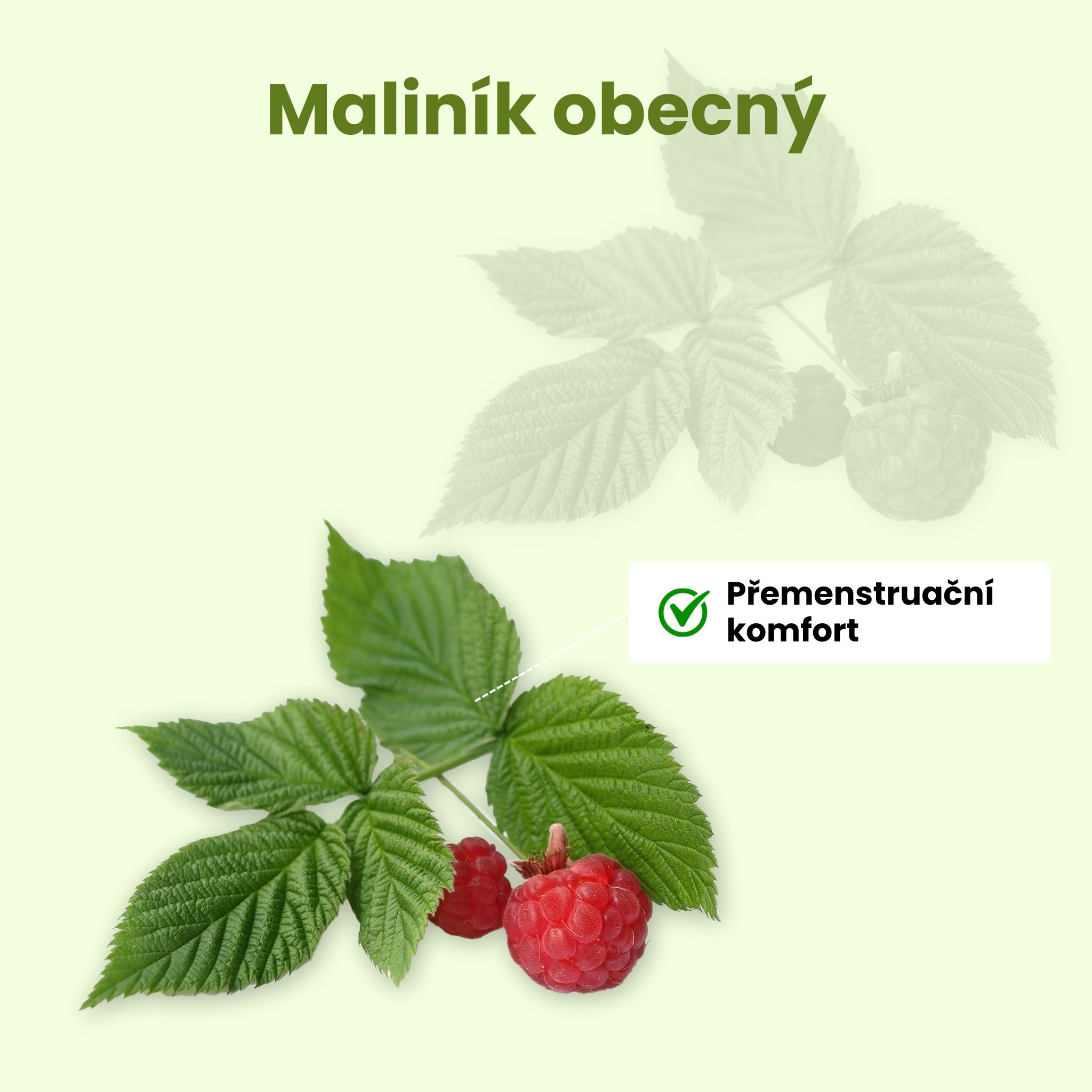 Malinik