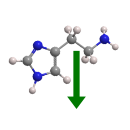 Icony_histamin